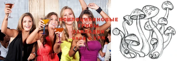хмурый Зерноград