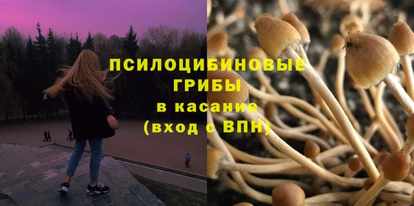 соль ск Иннополис
