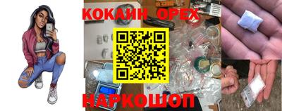 гашик Канаш