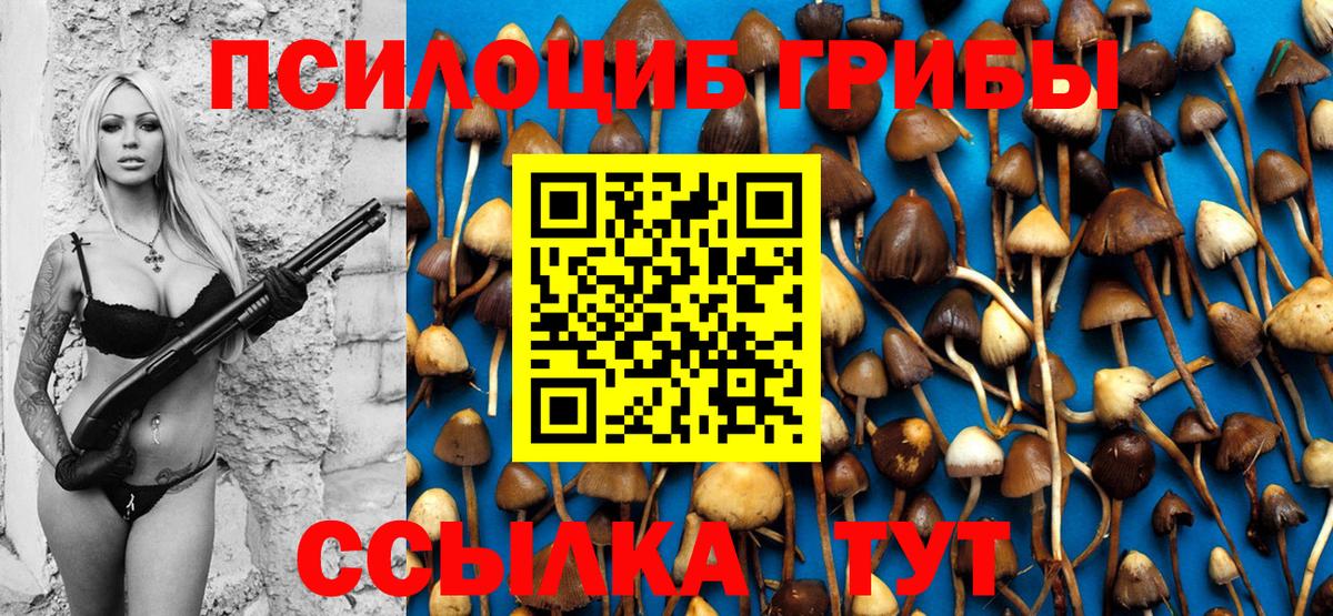 Псилоцибиновые грибы MAGIC MUSHROOMS  Вход с VPN  Новочебоксарск  купить наркотик  Псилоцибиновые грибы прущие грибы 