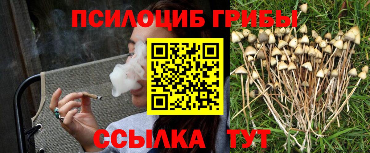 Псилоцибиновые грибы Magic Shrooms  Галлюциногенные грибы ЛСД  Новочебоксарск 